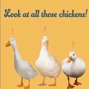 Meet your Posher, Faith